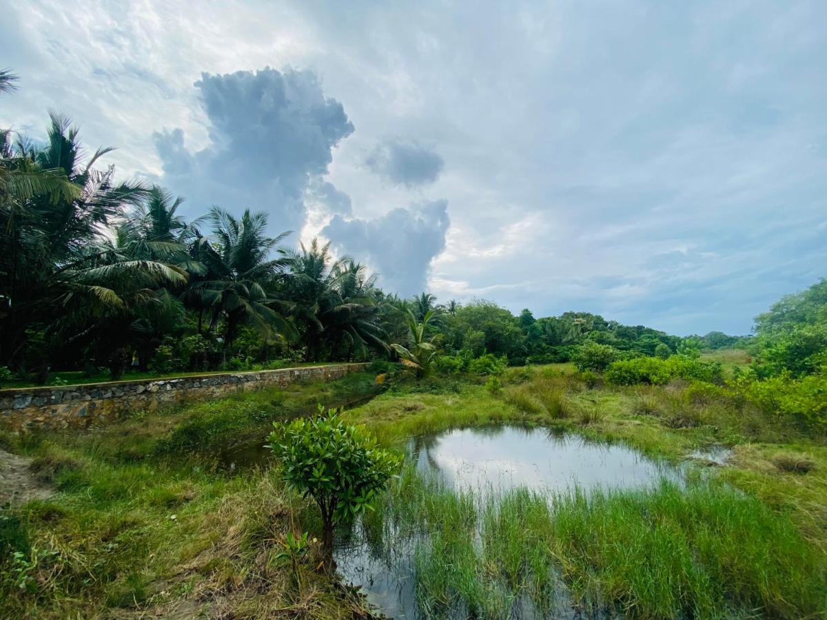 Hidden Garden Tangalle Ngoại thất bức ảnh
