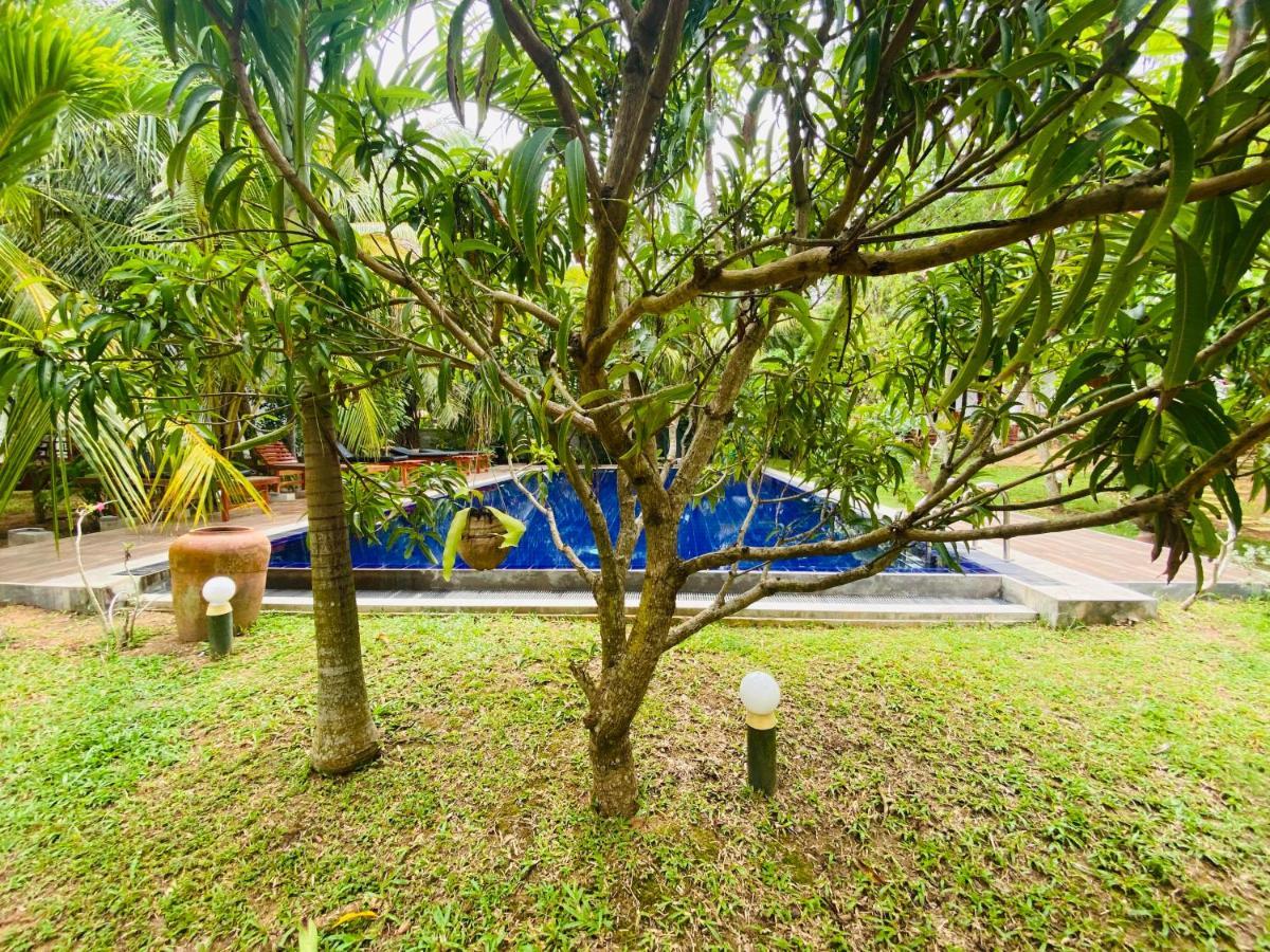 Hidden Garden Tangalle Ngoại thất bức ảnh